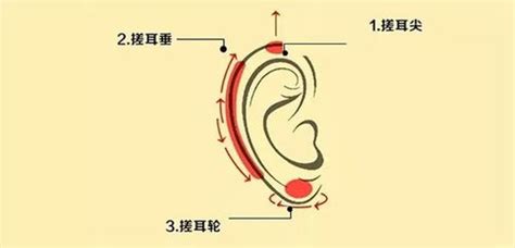 耳屏面相